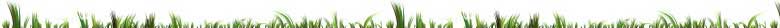landscaping services nj