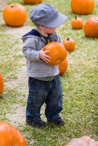 pumpkin picking nj