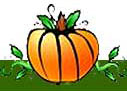 pumpkin picking
