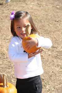 pumpkin picking nj