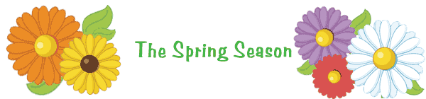 landscaping services nj